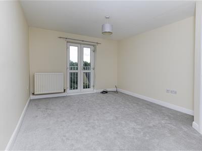 Picture 15
